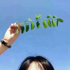 贝尔格里尔斯