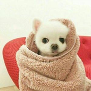 年轻人不讲武德