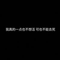 培宝