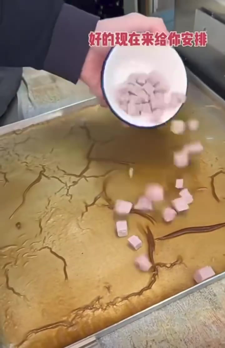 广东人喜欢吃的肠粉 [s-3-5] 