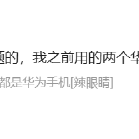 求助！从1月12日开始铁锈多人游戏服务器出现重大问题！！！