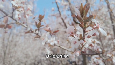可以了