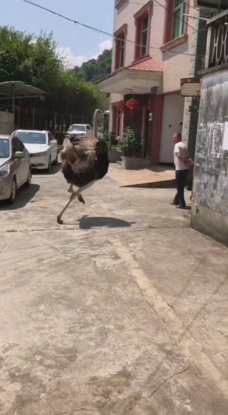 呜呼，呜呼