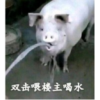 666这个入不是桂