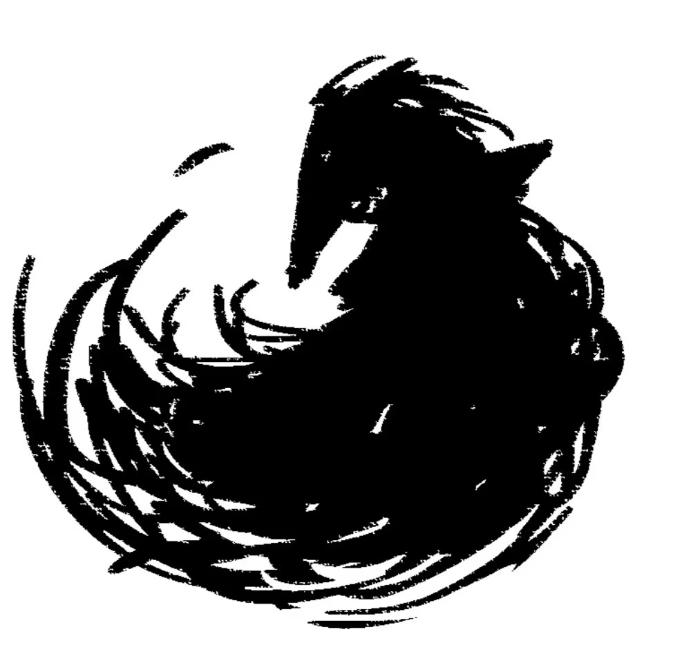 玻尔还是爱因斯坦✧