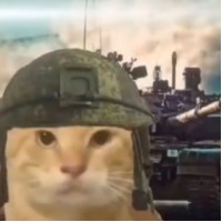 输了变猫娘给队友操