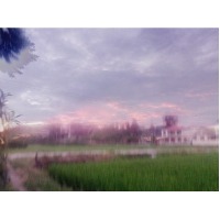 发现中文网没人的鲍夜