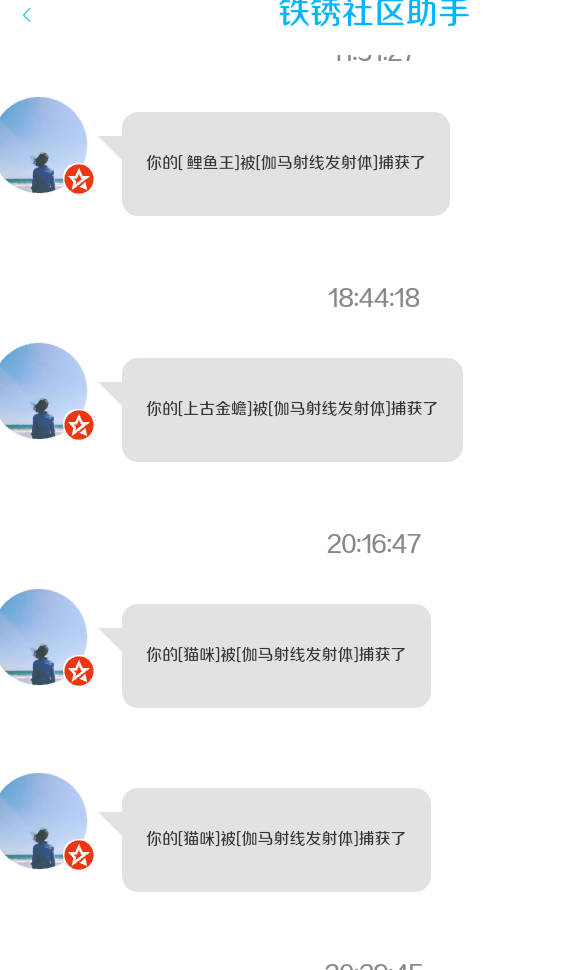 我以后不会弄宠物了,