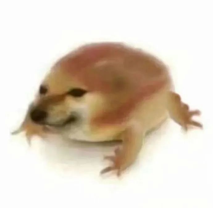 一只概念型蚊子